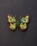 Four Spot Sailor Butterfly Beaded Brooch Pin - Trovelore