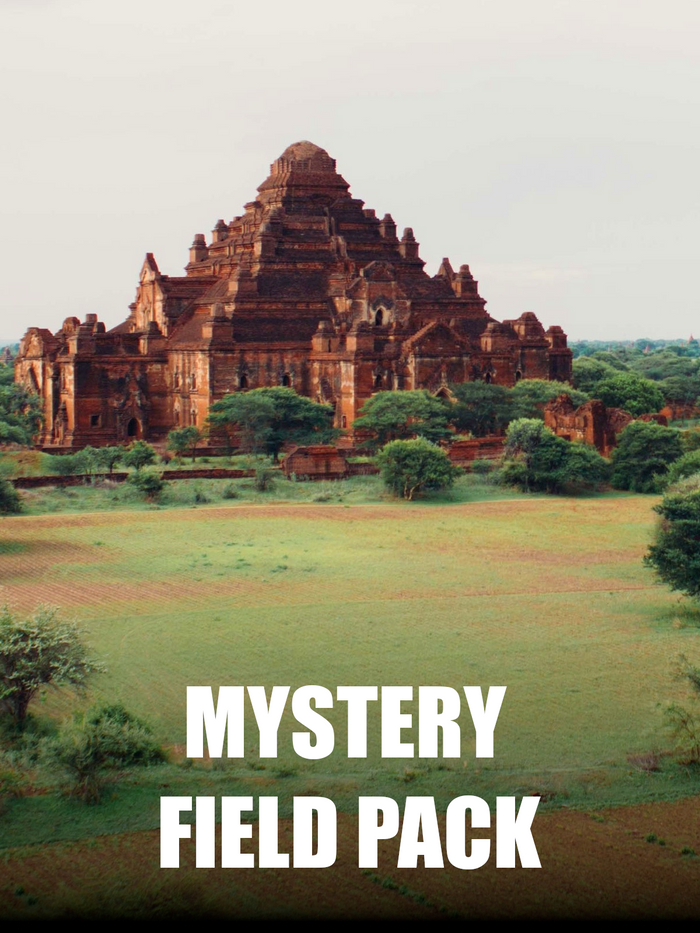 From the Ancient Ages Mystery Field Box