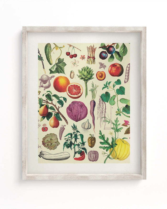 Fruit & Vegetables Museum Print Cognitive Surplus