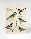GCBirthdayTits Greeting Card