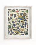 Gems & Minerals Museum Print Cognitive Surplus