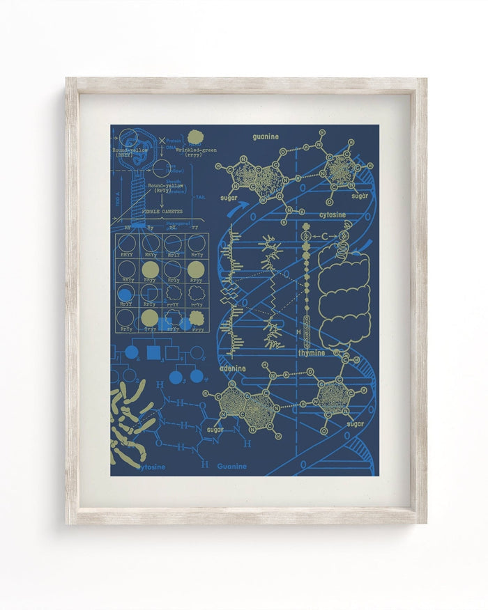 Genetics: DNA Museum Print Cognitive Surplus