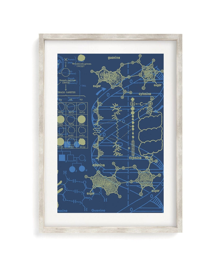 Genetics: DNA Museum Print Cognitive Surplus
