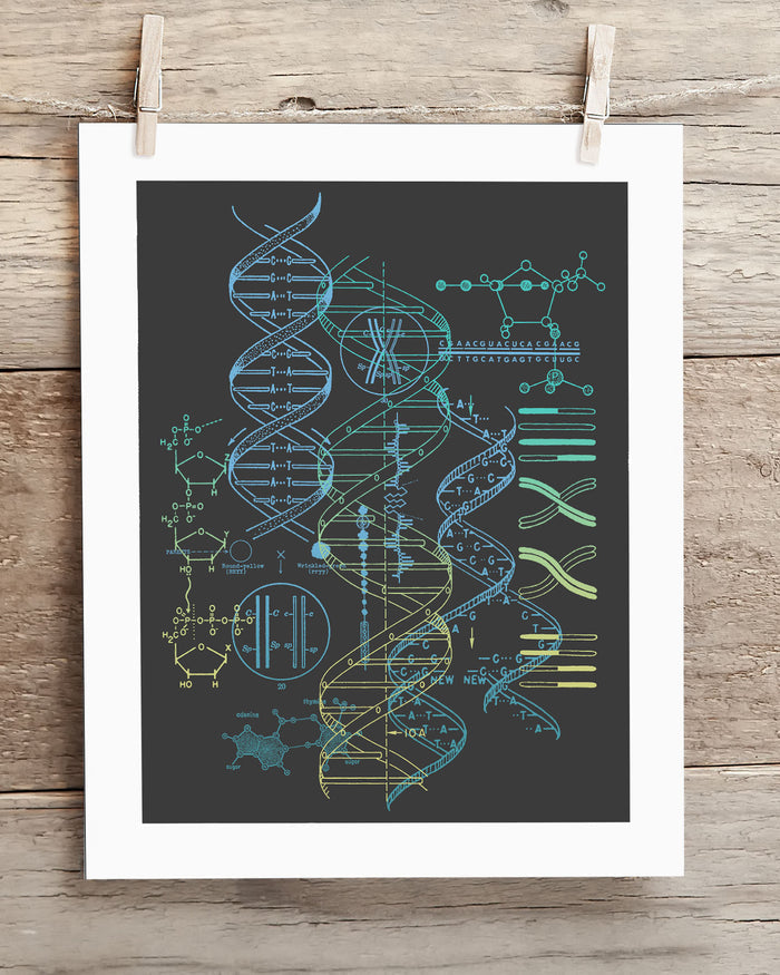 Genetics Scientific Illustration Museum Print