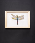 Green Darner Dragonfly Beaded Framed Art - Trovelore