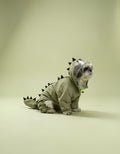Green  Dino Raincoat