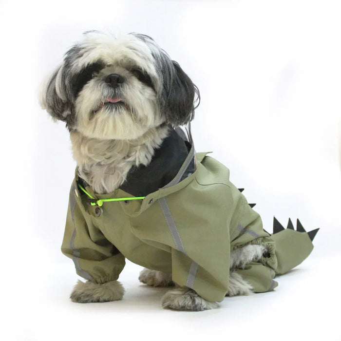 Green  Dino Raincoat