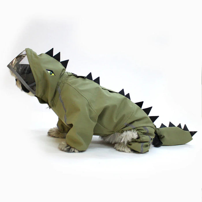Green  Dino Raincoat