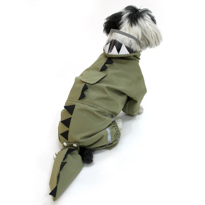 Green  Dino Raincoat