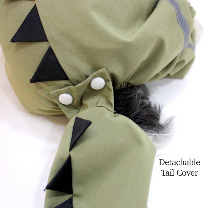 Green  Dino Raincoat