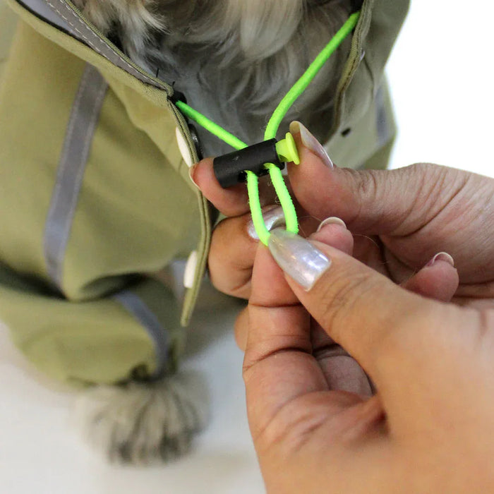 Green  Dino Raincoat