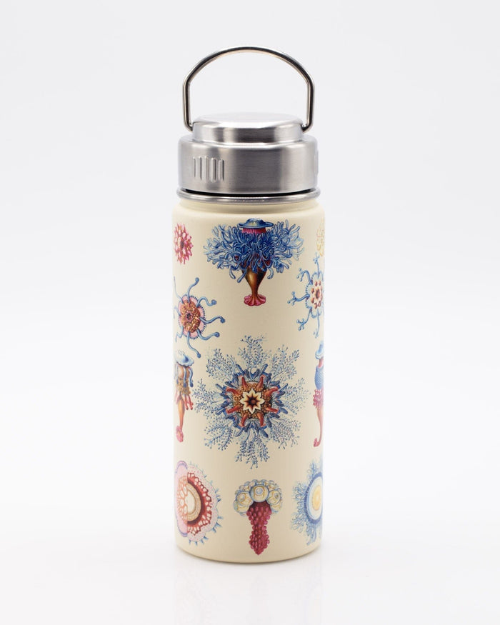 Haeckel Jellyfish 18 oz Steel Bottle Cognitive Surplus