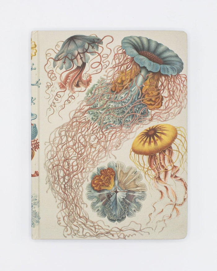 Haeckel Jellyfish Hardcover - Blank Cognitive Surplus