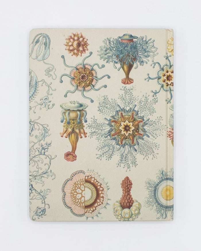 Haeckel Jellyfish Hardcover - Lined/Grid Cognitive Surplus