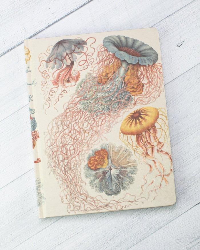 Haeckel Jellyfish Hardcover - Lined/Grid Cognitive Surplus