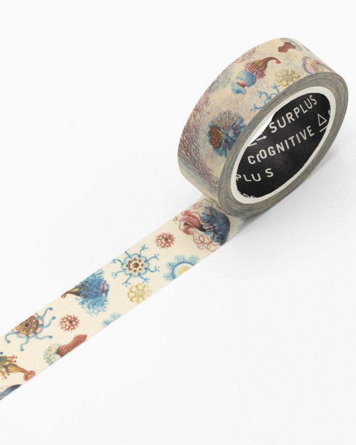 Haeckel Jellyfish Washi Tape Cognitive Surplus