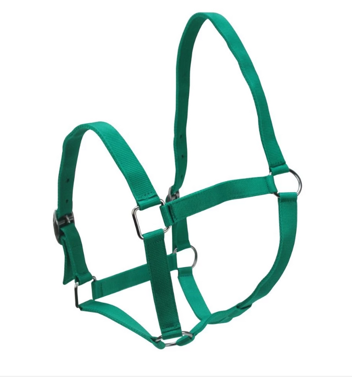 Halter - Wanneroo Stockfeeders