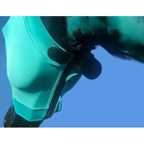 Hidez Compression Hood