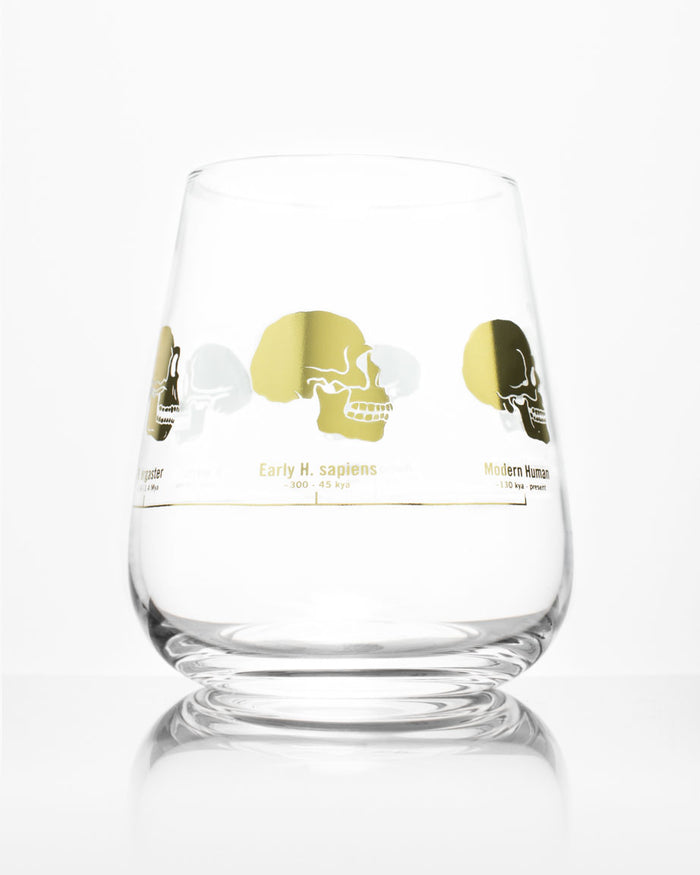 A Hominid Skulls Wine Glass with a Cognitive Surplus design on it.