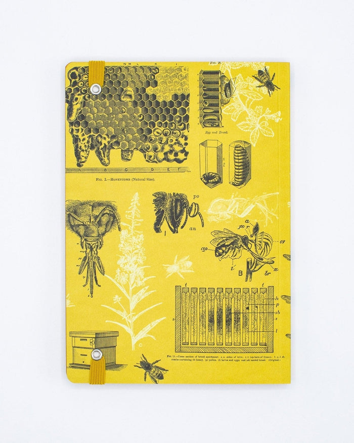 Honey Bee A5 Softcover Cognitive Surplus