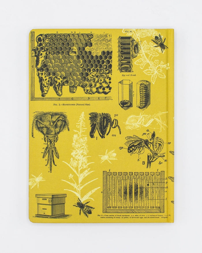 Honey Bee Hardcover - Blank Cognitive Surplus