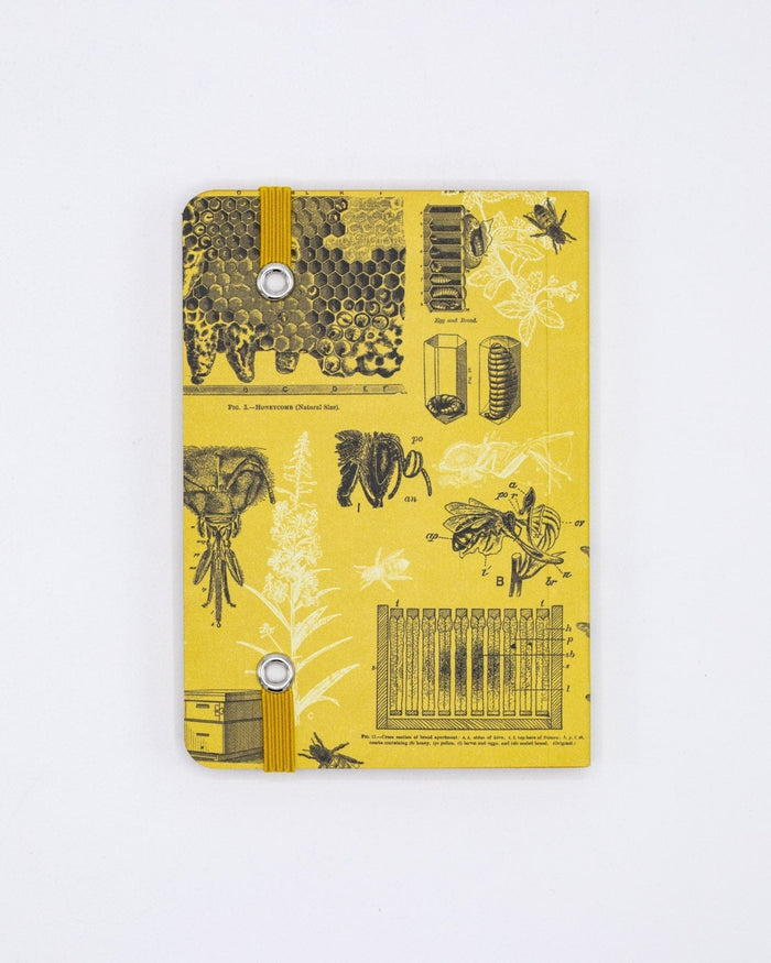Honey Bee Observation Softcover Cognitive Surplus