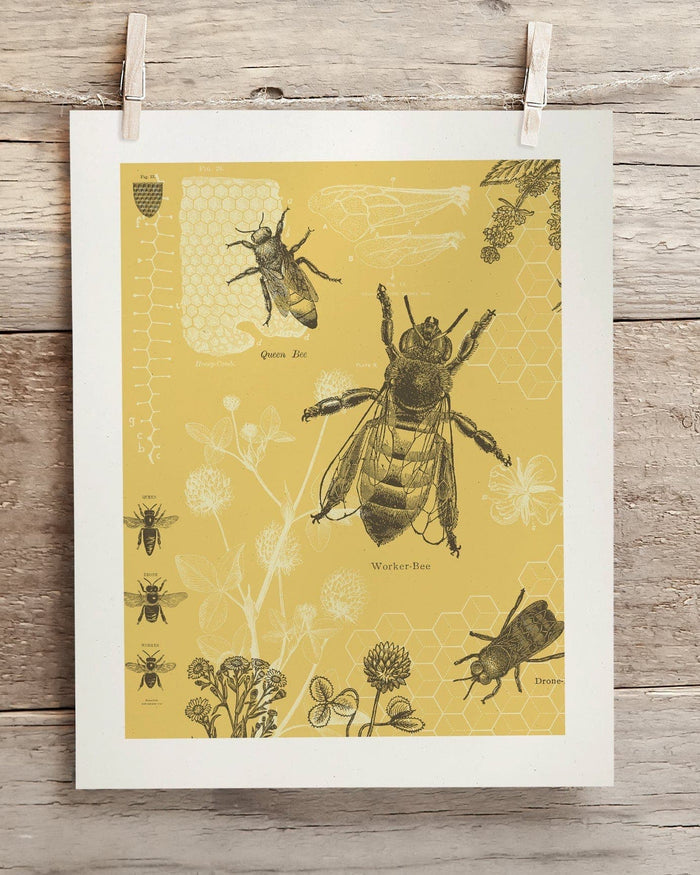 Honey Bee Museum Print Cognitive Surplus