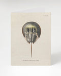 A Horseshoe Crab Greeting Card with an illustration of a jellyfish. Brand: Cognitive Surplus.