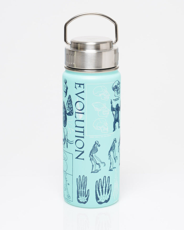 Human Evolution 18 oz Steel Bottle