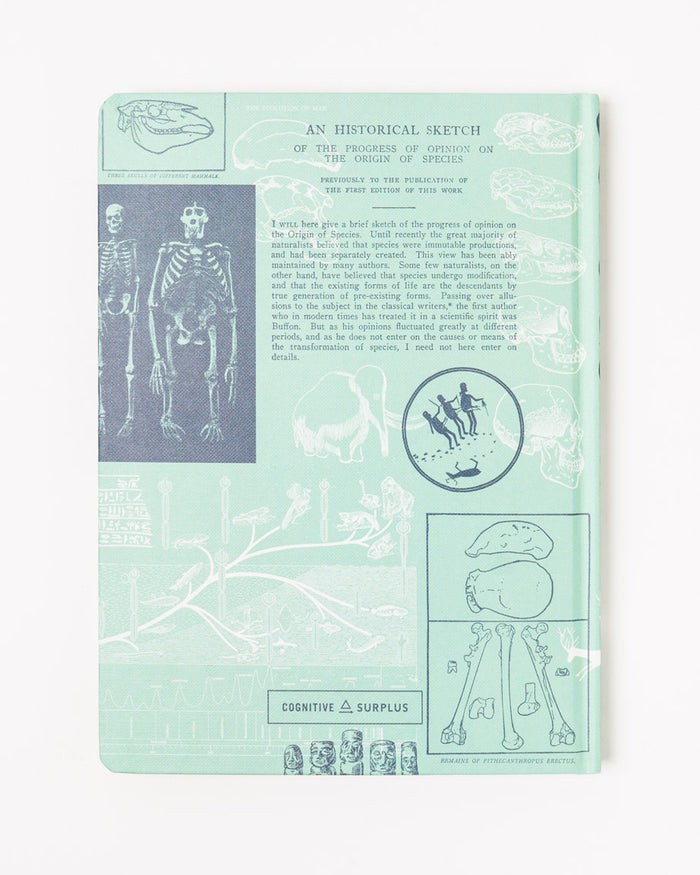 Human Evolution Hardcover Notebook - Lined / Grid
