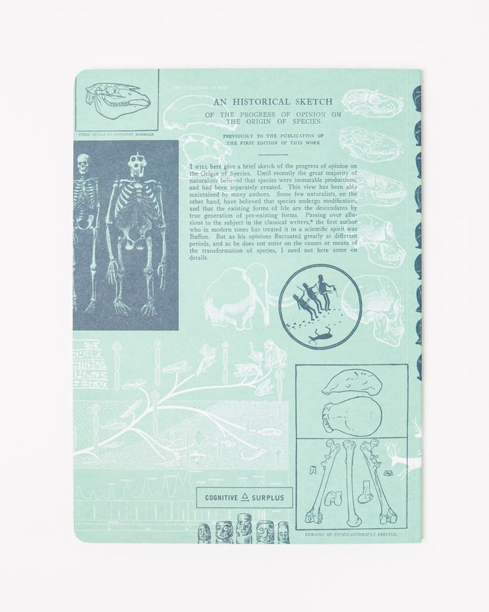 Human Evolution Softcover Notebook - Lined