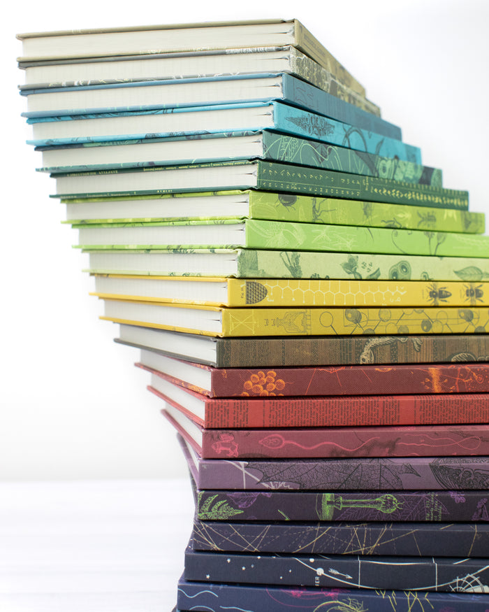 A stack of Cognitive Surplus Hypothesis Mystery Notebook 6-packs on top of each other.