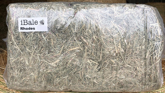 iBale Rhodes - Wanneroo Stock Feeders