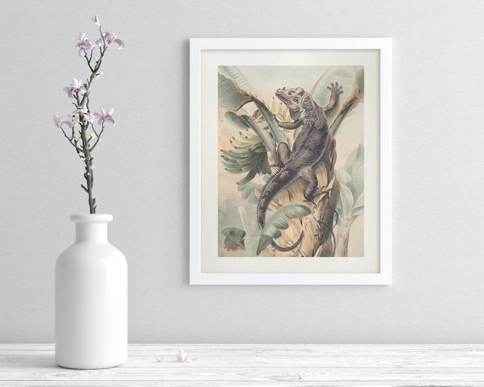 Iguana Museum Print Cognitive Surplus