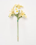 Inca Sunbeam Crochet Flower Bouquet