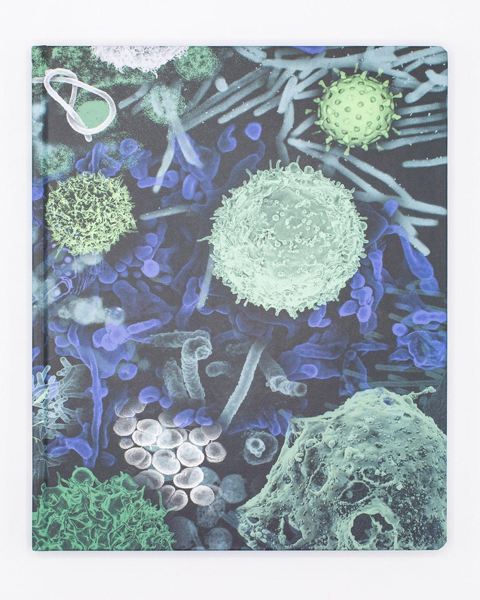 Infectious Disease Lab Notebook Cognitive Surplus