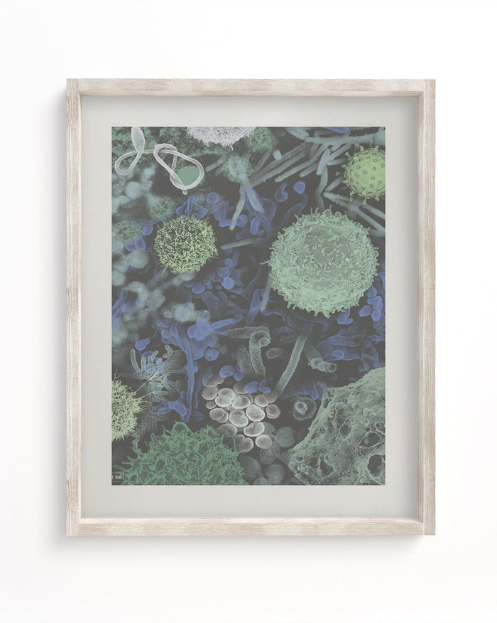 Infectious Disease Museum Print Cognitive Surplus