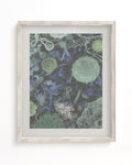 Infectious Disease Museum Print Cognitive Surplus