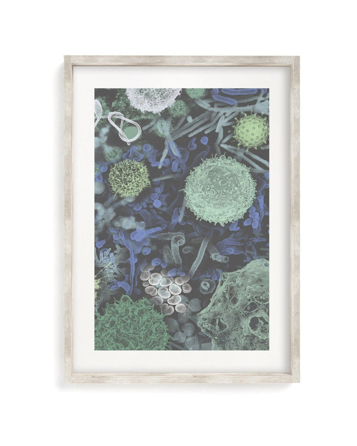 Infectious Disease Museum Print Cognitive Surplus