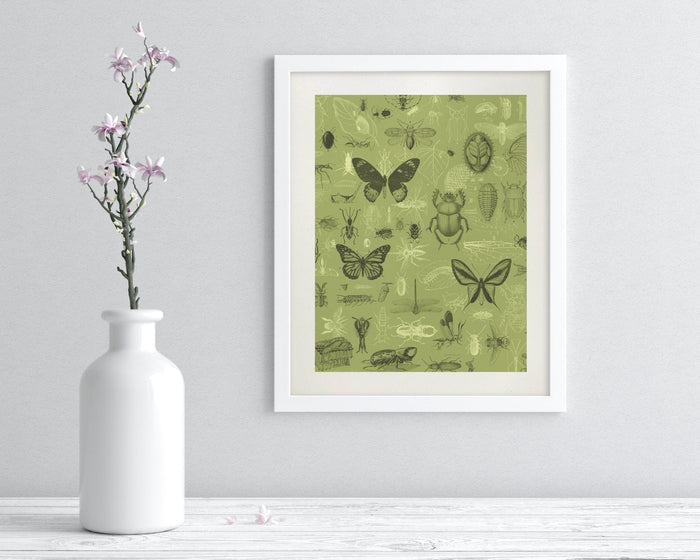 Insect Museum Print Cognitive Surplus