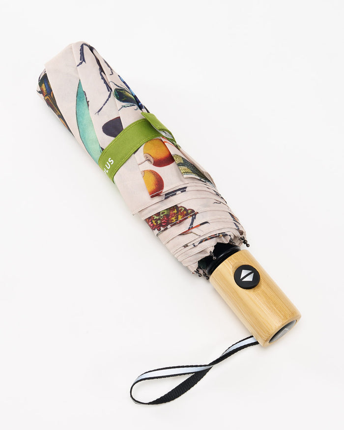 Insect Umbrella