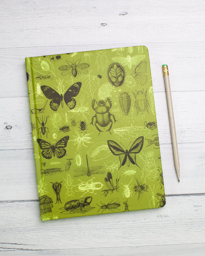 Insects Butterflies & Beetles Hardcover - Dot Grid Cognitive Surplus
