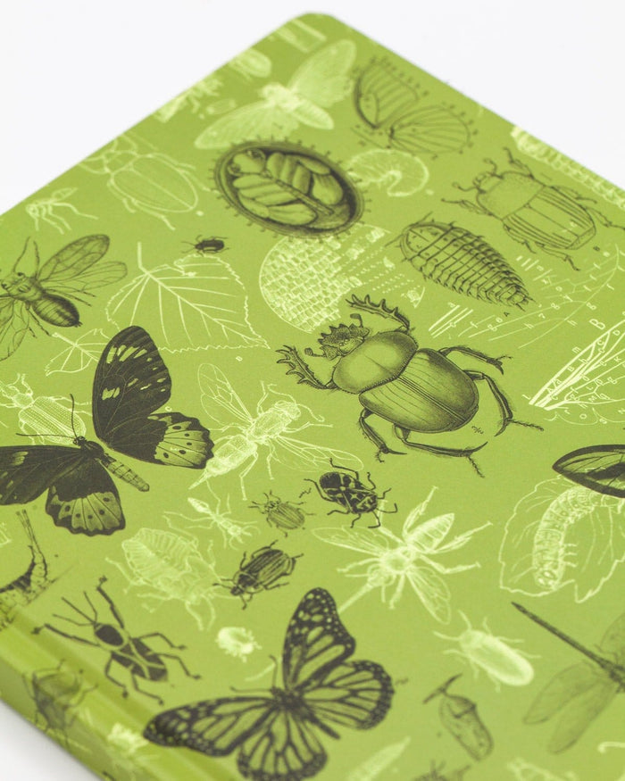 Insects Butterflies & Beetles Hardcover - Dot Grid Cognitive Surplus