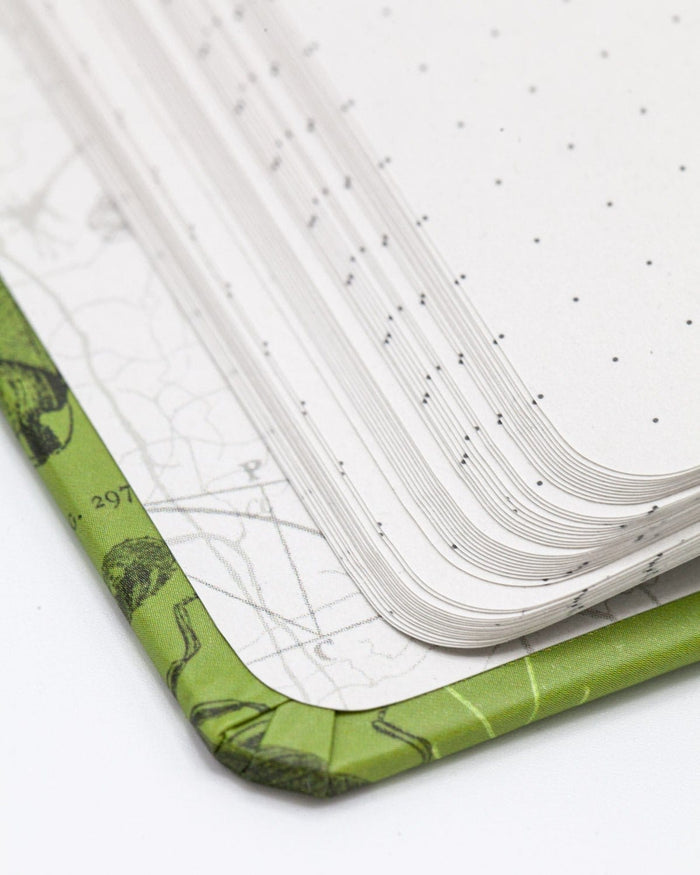 Insects Butterflies & Beetles Hardcover - Dot Grid Cognitive Surplus