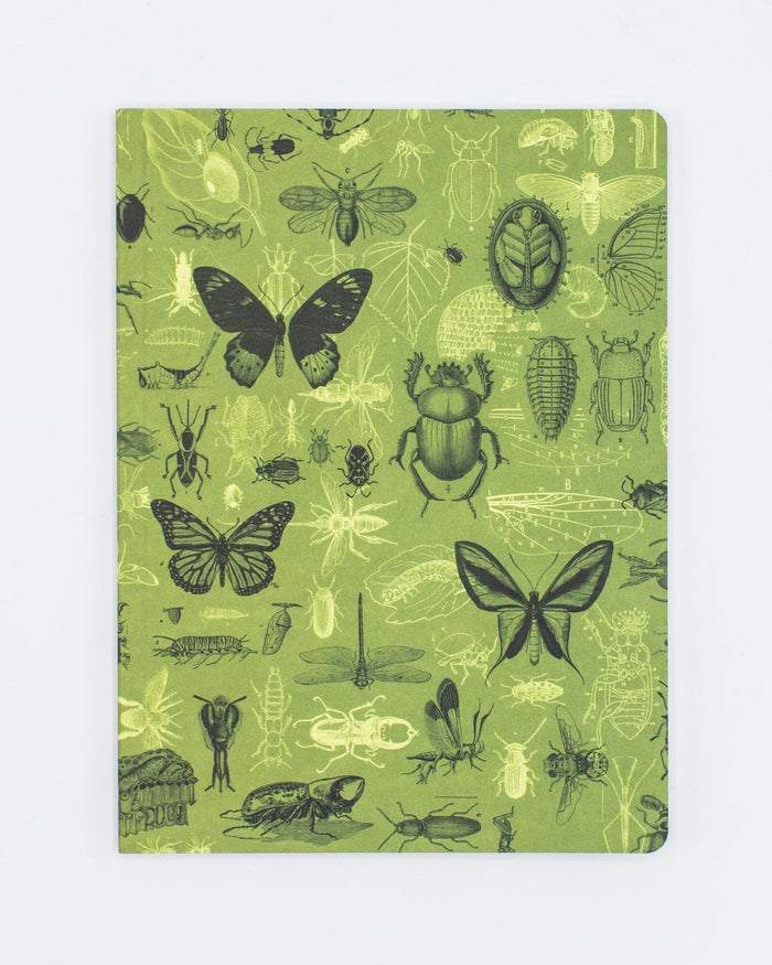 Insects Butterflies & Beetles Softcover - Dot Grid Cognitive Surplus