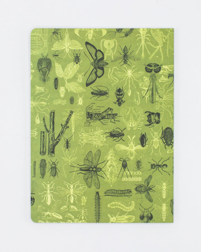 Insects Butterflies & Beetles Softcover - Dot Grid Cognitive Surplus