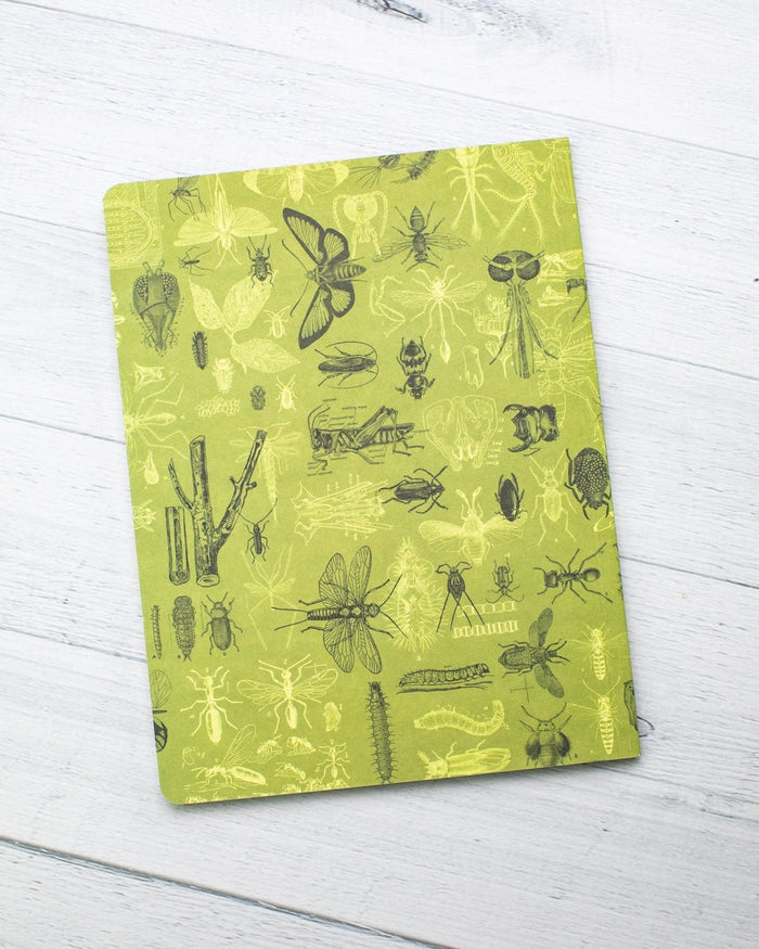 Insects Butterflies & Beetles Softcover - Dot Grid Cognitive Surplus