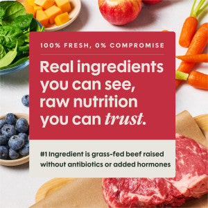 Instinct® FreshRaw Meals Grass-Fed Beef Recipe Dog Food