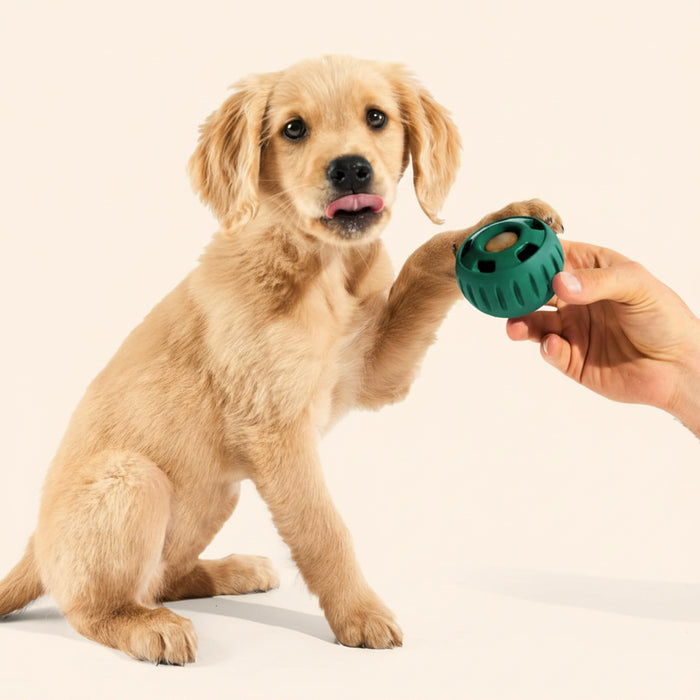 Interactive Enrichment Dog Ball Toy