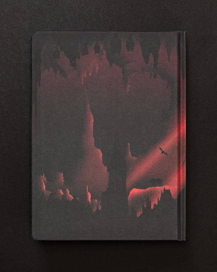 A Into the Earth: Caves Dark Matter Notebook by Cognitive Surplus with an image of a cave and a red light.